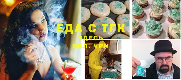 индика Усинск
