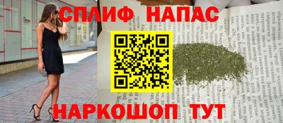 трава Гатчина