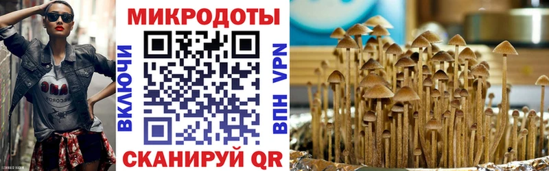 Псилоцибиновые грибы мицелий  MEGA как зайти  Баксан  продажа наркотиков 
