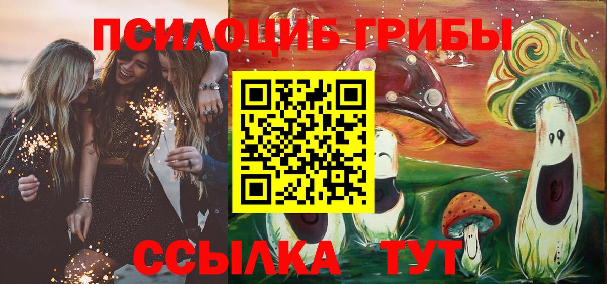 купить   Вход с VPN  Баксан  Псилоцибиновые грибы мицелий 
